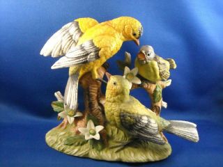 Yellow And Green Bird Family On Tree Branch Figurine Crown Fbia