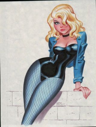 Black Canary By Bruce Timm Art Illustration