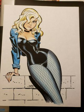 Black Canary by Bruce Timm Art illustration 2