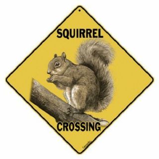 Squirrel Metal Crossing Sign 16 1/2 " X 16 1/2 " Diamond Shape Made In Usa 315