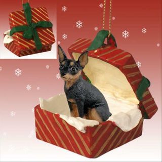 Miniature Pinscher Black Tan Dog Red Gift Box Holiday Christmas Ornament