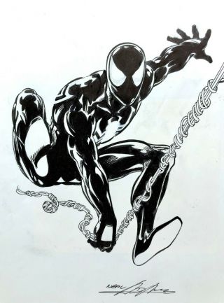 Neal Adams Spiderman 11 " X 14 " Art Sketch Signed With