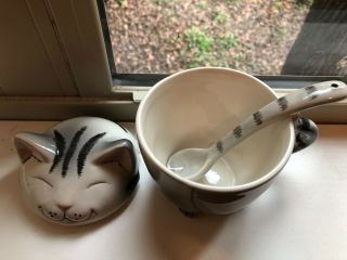 Grey Cat Mug With Spoon Cute