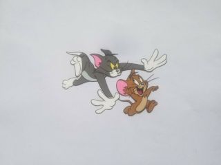 Tom And Jerry Hand Painted Animation Cel