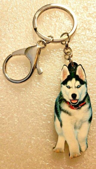 Husky Realistic Blue Eyes Dog Puppy Acrylic Key Ring Keychain Jewelry