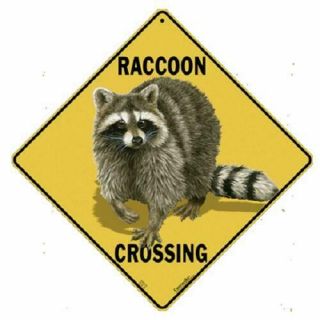 Raccoon Metal Crossing Sign 16 1/2 " X 16 1/2 " Diamond Shape Made In Usa 426