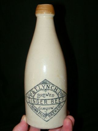 P & T Lynch Ginger Beer Bottle Glasgow Crown Point Brewery Kennedy Barrowfield