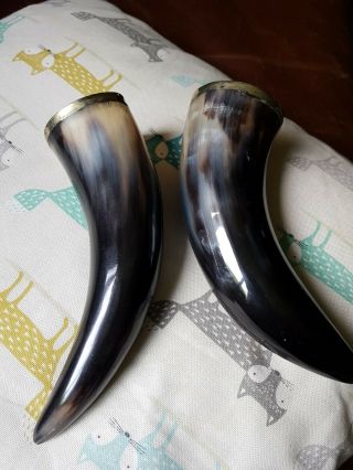 2 Viking Cow Horn Drinking Horn with ornate metal bands 2