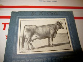 ANTIQUE ' THE JERSEY ' THE MOST ECONOMIC DAIRY COW BOOK 1893 - 1904 WORLD ' S FAIRS 2