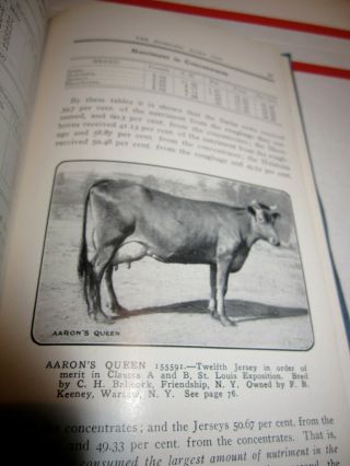 ANTIQUE ' THE JERSEY ' THE MOST ECONOMIC DAIRY COW BOOK 1893 - 1904 WORLD ' S FAIRS 5