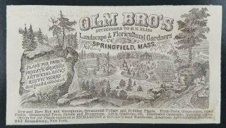 Victorian Print Ad 1871 Olm Bro 