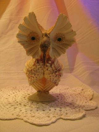 Cute Wide Eyed Sea Shell Seashell Art Owl Figurine Beach Cottage Handmade Decor
