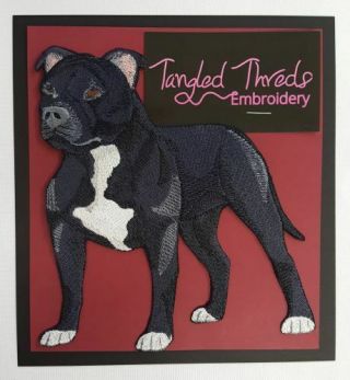 Staffordshire Bull Terrier,  Pit Bull Dog Embroidered Patch 5.  8 " X 6.  2 "