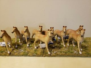 Quarter Horse Foals Ertl