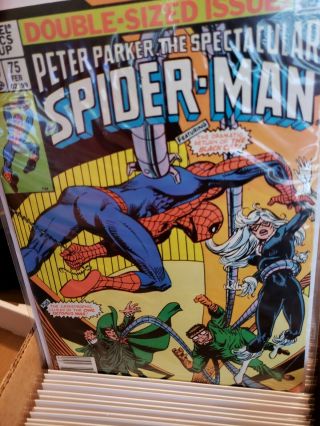Spectacular Spider - Man 1 - 263 - Venom - Black Cat - Goblin - Punisher 5