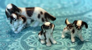 Vintage Miniature Bone China English Springer Spaniel Set Of 3 Dog And Pups