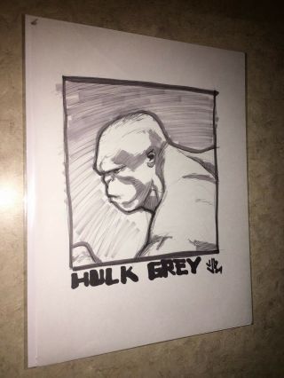 J.  G.  Jones Art Sketch Drawing The Incredible Hulk Grey