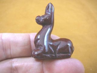 (y - Lla - Si - 550) Baby Red Llama Carving Gemstone Stone Figurine I Love Llamas