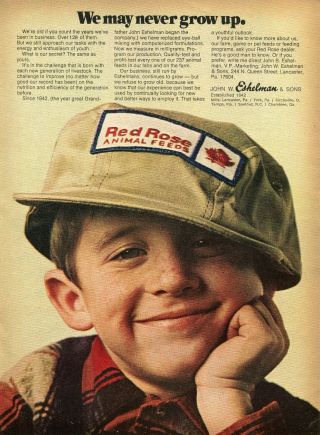 1970 Print Ad Of John W Eshelman & Sons Red Rose Animal Feeds Never Grow Up