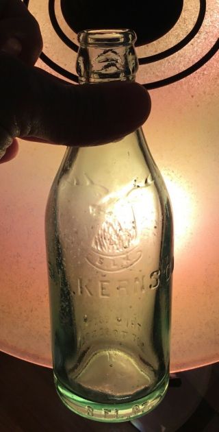 Antique E.  L Kerns Co Trenton Nj Soda Pop Bottle Deer Stag Head Logo Advertising