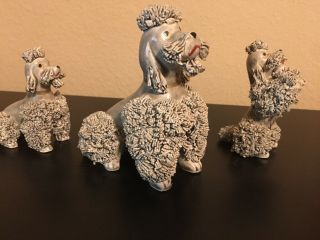 3 Gray Spaghetti French Poodle Mother W/2 Puppies 1950 " S Mid Cent Japan Vintage