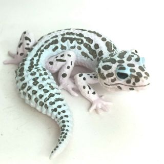 Kaiyodo Capsule Q Museum Miniature Figure Leopard Gecko White Mack Snow Japan