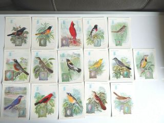 Singer Sewing Machine Cards American Song Birds Complete Set Of 16 1920s 1930s