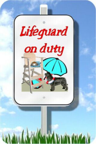 Newfoundland Lfeguard On Duty Sign Metal Novelty 8 " X12 " Pool Yard Dog