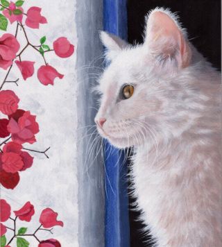 Cats White Cat Limited Edition Fine Art Print - Painting By S Barratt
