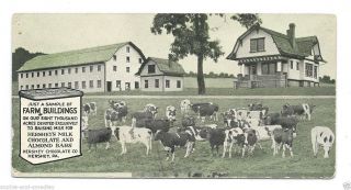 Antique Postcard - Hershey Chocolate Co,  Cows And Farm Buildings - Pennsylvania