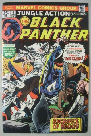 Jungle Action 19 Marvel Comics Black Panther Vs.  Ku Klux Klan