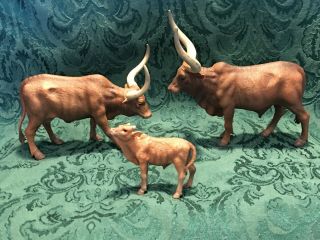 Collectible Collect A Ankole Watutsi Bull,  Cow And Calf