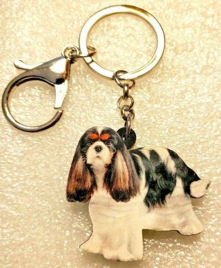 Cavalier King Charles Spaniel Realistic Tricolor Dog Acrylic Keychain Jewelry