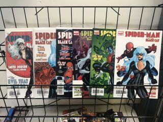 Spider - Man And The Black Cat Set Run 1 - 6 All Vf/nm Kevin Smith 2 3 4 5 2002
