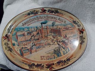 Vintage Collectible Advertising Tray Anheuser - Busch Brewing Ass 