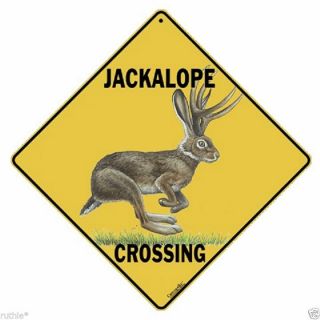 Jackalope Metal Crossing Sign 16 1/2 " X 16 1/2 " Diamond Shape Made In Usa 127