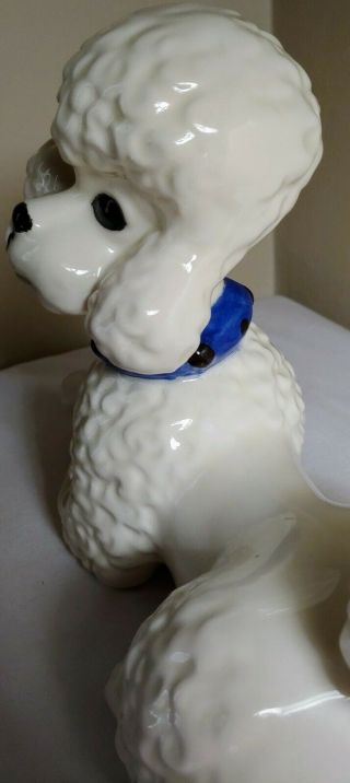 LARGE Vtg ceramic glazed BOY POODLE dog collar 1st quality figurine 2