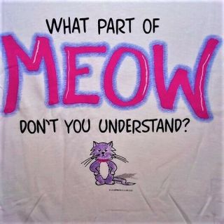 Nwot Kitten T Shirt What Part Of Meow Don 