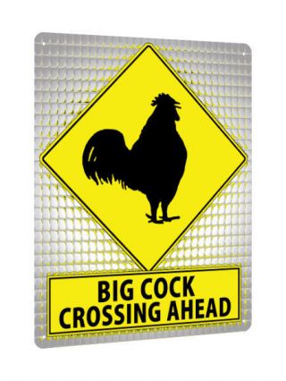 Cock Rooster Chicken Metal Street Sign Funny Farm Ranch Art Gift Gag Mancave 439