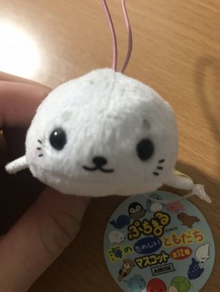 Amuse Puchimaru Baby Seal Mini Plush Stuffed Phone Strap Keychain USA Seller 3
