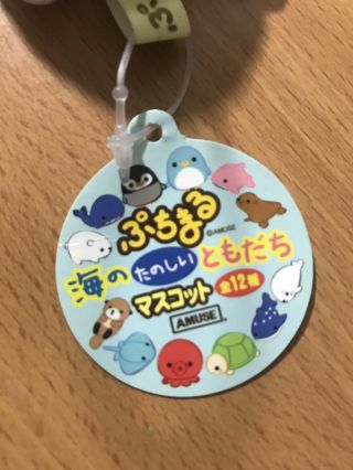 Amuse Puchimaru Baby Seal Mini Plush Stuffed Phone Strap Keychain USA Seller 5