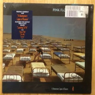 Pink Floyd - A Momentary Lapse Of Reason,  Lp W/ Hype,  Columbia 40599 - S1