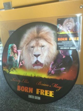 Born 12 " Numbered Limited Picture Disc - Brian May Queen