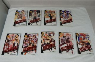 Negima Magister Negi Magi Vol.  12 - 20 Del Ray Manga Ken Akamatsu