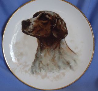 Antique Dresden German Shorthaired Pointer Plate Dog