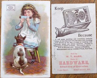 Dog & Little Girl 1890 Victorian Trade Card: James Pyle 