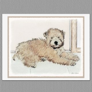 6 Soft Coated Wheaten Terrier Blank Art Note Greeting Cards