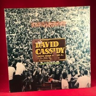 DAVID CASSIDY Live World Tour ' 74 UK Vinyl LP,  POSTER 2