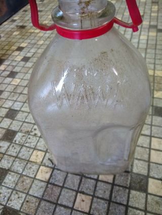 1/2 Gallon Glass Wawa Milk Jug 4