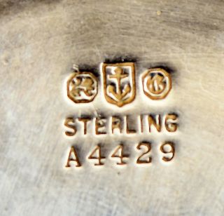 Rare Antique Gorham Sterling Silver Mustache Cup w/ Griffin Motif A4429 4.  51 ozt 6